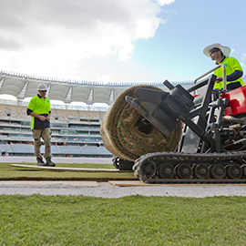 Turf installation fact sheet