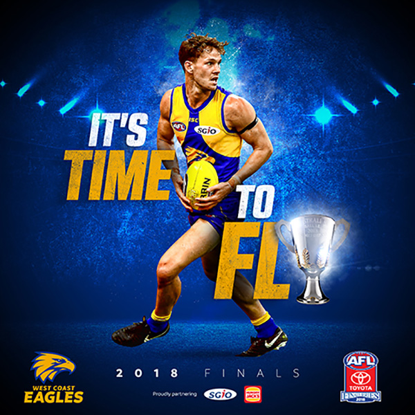 AFL Preliminary Final