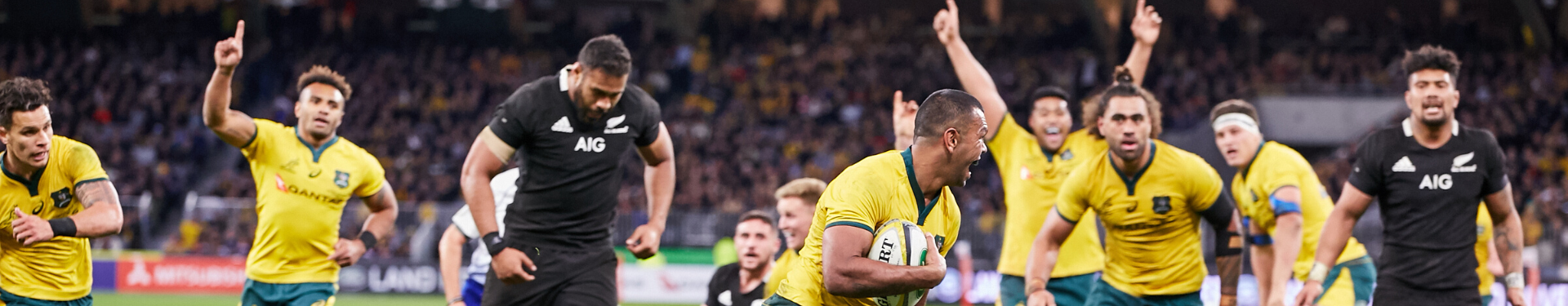 Bledisloe Cup at Optus Stadium