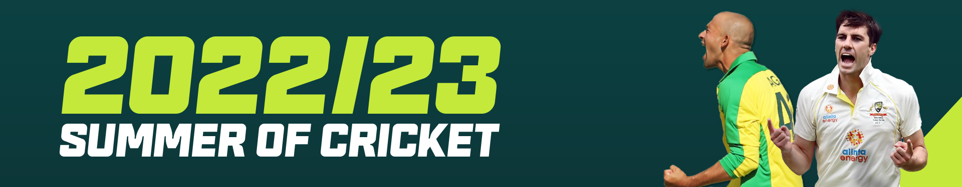Cricket22